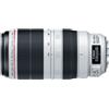 Canon EF 100-400mm f/4.5-5.6L IS II USM + GARANZIA 2 ANNI ASSISTENZA IN ITALIA +