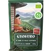 NaturaleBio Tè verde Gyokuro Giapponese Biologico da 100g. Bio, Naturale e Puro, Thè verde in foglie di primo raccolto coltivato in Giappone. Organic Japanese Gyokuro Green Tea.