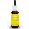 Green Remedies AUSTRALIAN BUSH FLOWER ESSENCES Concentration Gocce 30 ml