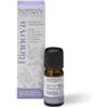 Nasoterapia Sinergia con Oli essenziali puri RINNOVA 10 ml