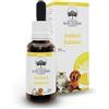 Green Remedies Australian Bush Flower Essences INSTINCT BALANCE Universe Pets
