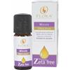 Flora Primavera ZETA FREE Antizanzare MISCELA DIFESA SICURA 10 ml