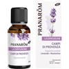 Pranarom La Diffusione: CAMPI DI PROVENZA Lavanda e Rosmarino BIO 30 ml
