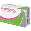 MEDA PHARMA SPA Magnosol 20 Bustine Effervescenti