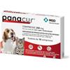 MSD ANIMAL HEALTH SRL Panacur 10 Cpr 250 Mg Cani Gatti