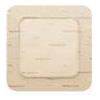 MOLNLYCKE HEALTH CARE Srl MEPILEX BORDER FLEX 10X10 5PZ