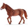 Schleich Stute 13870 Cavallo Giumenta Morgan Horse, Colore Marrone, Large