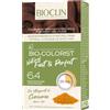 IST.GANASSINI SpA BIOCLIN BIO COLOR F&P BIO RAM