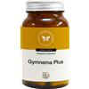 CENTO FIORI GYMNEMA PLUS 100CPS VEG