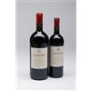 Bossi Fedrigotti MAGNUM | FOJANEGHE 2017 | Vigneti delle Dolomiti IGT | 1,5 l