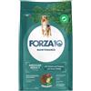 Forza10 Medium Adult Maintenance Cervo e Patate 12KG