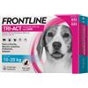 Frontline Tri-act Spot On Soluzione Cani 10-20kg 6 Pipette 0,5ml 33,38mg+252,4mg