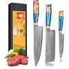 oFuun 3 Pezzi Set Coltelli da Cucina Professionali Coltello Da Cucina Damasco 67 Strati, Coltello Da Cucina Giapponese Professional Coltello da Chef Kiritsuke Coltelli Carne Per Chef E Appassionati