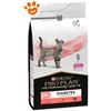 Purina Cat Pro Plan Veterinary Diet DM Diabetes Management - Sacco Da 1,5 Kg