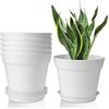 T4U 19cm Vaso con Sottovaso Plastica Il Giro Set di 6, Imposta Completo Vaso Fioriera da Interno Ed Esterno per Casa e Ufficio, Vasi da Fiori per Piante, Erbe, Orchids, Bianco