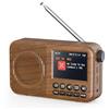 Arafuna Radio Portatile, Radio DAB Con Schermo LCD Da 2,4", Radio Portatile Bluetooth, Radio FM Con Doppia Sveglia, 60 Stazioni Preimpostate, Connessione MicroSD/TF/AUX, Timer Sonno, Ricaricabile