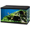 Askoll Aquario Ciano Aqua 60 Led Askoll - Nero - 60 x 30 x 32 - SPEDIZIONE GRATIS 1° ORDINE + scegli lo sconto BZR5 / BZR20