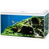 Askoll Aquario Ciano Aqua 60 Led Askoll - Bianco - 60 x 30 x 32 - SPEDIZIONE GRATIS 1° ORDINE + scegli lo sconto BZR5 / BZR20