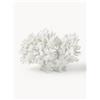 Westwing Collection Oggetto decorativo di design Coral