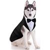 Weewooday Set smoking e bandana per cani, smoking formale in PET, per feste di matrimonio, matrimonio, Natale, compleanni (stile carino, XL)