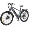 Lancia Ln-bi-220003, Ypsilon Mountain E Bike Genio Unisex Adulto, Grigio (Grey), 1830 x 1050 690 mm
