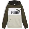 PUMA ESS BLOCK HOODIE FL VERDE OLIVE/MULTICOLORE (70)