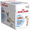 Royal Canin Ultra Light Busta per Gatti 85gr - 85 g - Salsa