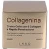 LABO Collagenina crema collo 3 50ml - LABO - 984786273