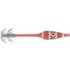 JATSUI Totanara da Eging Rush Tataki Glass 1.5/2.0 - Artificiale Pesca Seppia Calamaro (RG, 2.0)