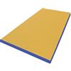 Niro Sportgeräte NiroSport Materassino di Caduta 200 x 100 x 8 cm tappetino da ginnastica tappetino fitness tappetino sportivo tappetino da allenamento tappetino protettivo tappetino da ginnastica impermeabile