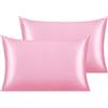 NTBAY Silk Satin Pillowcase - Pillowcase per capelli e pelle, confezione da 2 con chiusura Envelope Closure, 50 x 75 cm, rosa