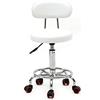 Alightup Sgabello da ufficio, sgabello a rotelle professionale con schienale girevole a 360°, sedia a rotelle, altezza regolabile per salone di massaggio, cucina, ufficio, clinica, pub, cucito