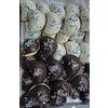 BAR EUROPA Petrali, dolci natalizi tipici di Reggio Calabria