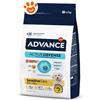 Advance Dog Sensitive Adult Mini Salmone e Riso - Sacco Da 1,5 Kg