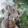 Alpha Edition Koalas 2025 CALENDARIO DA PARETE 30X30 CM