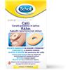 Scholl Calli Cerotti in Lattice 1 pz Cerotto