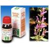 SPECCHIASOL Srl SALVIA 25 50ML TM