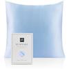 RUIPTSKE Federa per cuscino al 100% in seta da 22 momme, certificata Oeko-TEX®, benefica per i capelli e per la pelle, anti età e antiacaro, 60 x 60 cm, azzurro