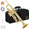 Eastar Tromba Standard Bb Set per Principianti, Strumento Tromba Studente in Ottone con Custodia Rigida, Kit di Pulizia, Bocchino 7C e Guanti, ETR-380, Oro