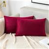EMEMA Federa per cuscino natalizio, in velluto, decorativa, per divano, lombare, con chiusura lampo nascosta, per divano, camera da letto, set da 2 pezzi, 40 x 60 cm, colore: rosso vino