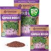 ZenGreens® - Semi di cavolo rosso biologico - Scegli tra 10g, 200g e 500g - Germogli di cavolo rosso - Germinazione superiore al 97% - Microgreens