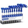 DAKCOS Set 10 chiavi Torx con chiave a T con foro frontale | T9-T50 | Cr-V
