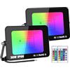 Willpower 2pz RGB Faretto LED da Esterno 30W, Faretto LED Cambio Colore RGB Modalità di Strobo DIY, con Telecomando, 16 Colori, Impermeabile Proiettore per Interno Esterno Giardino Cortile Partito