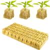 BAOSROY Lana di Roccia,50pcs Cubi Lana di Roccia,Lana di Roccia Cubi di Radicazione,Spine Lana Roccia,Serra Idroponica,Suolo Cubo Idroponico,Cubetti di Lana di Roccia,Tappi per Piante Lana Roccia Idroponica