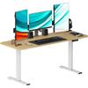 DlandHome Scrivania Elettrica Regolabile 160 cm - Seduta in Piedi per Computer Ergonomico e Gioco - Altezza 72-122 cm Con Pannello di Controllo e 2 Porte