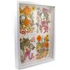 CiciIng Cornice portafoto 3D, 20 x 29 cm, in legno A4, con pannello acrilico trasparente, cornice per oggetti, profondità da riempire, per foto, fiori, ricordi, opere d'arte fai da te (bianco)