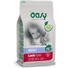 Wonderfood OASY DRY CAT ADULT AGNELLO 300 G NEW PACK
