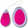 Sexyfollie Basic Duo Play RC Vibrating EGG