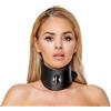 Bad Kitty Choker