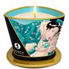Shunga Sensual Massage Candle